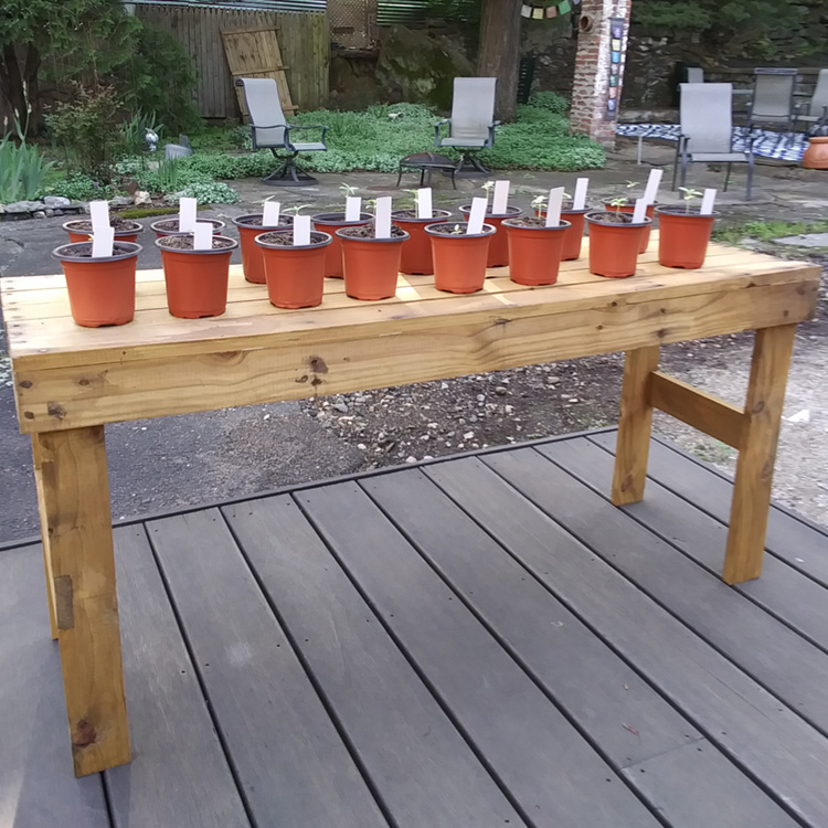 hand crafted rustic country benches